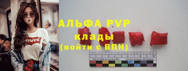 стаф Зеленодольск