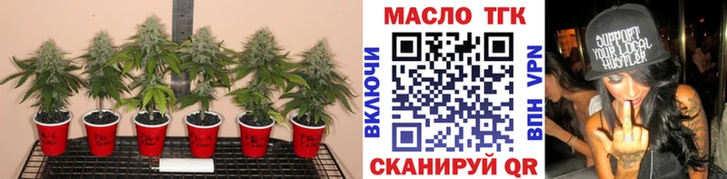 Купить закладки  Златоуст  ТГК гашишное масло 